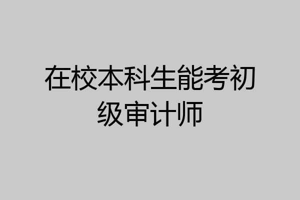 在校本科生能考初级审计师