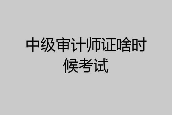 中级审计师证啥时候考试