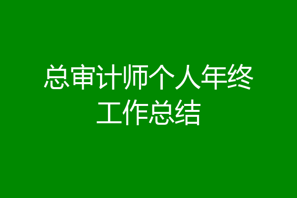 总审计师个人年终工作总结