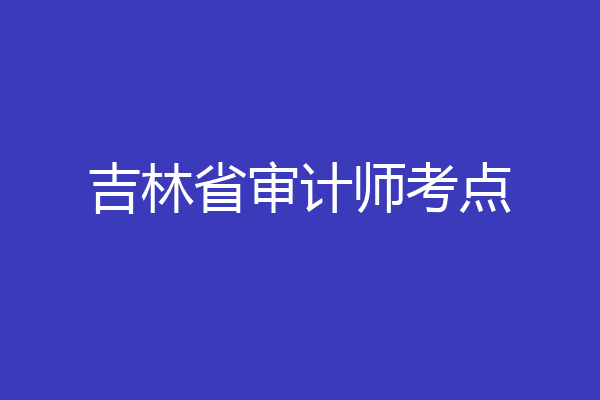 吉林省审计师考点