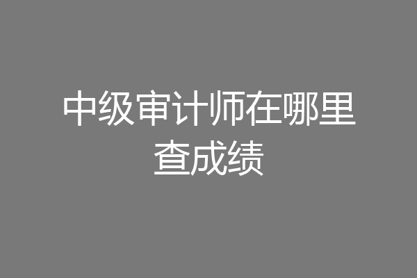 中级审计师在哪里查成绩
