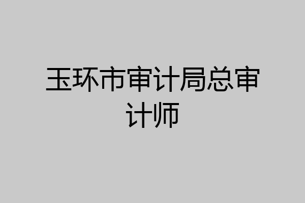 玉环市审计局总审计师