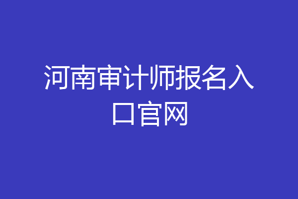 河南审计师报名入口官网