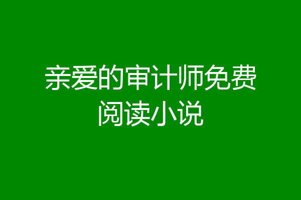 亲爱的审计师免费阅读小说