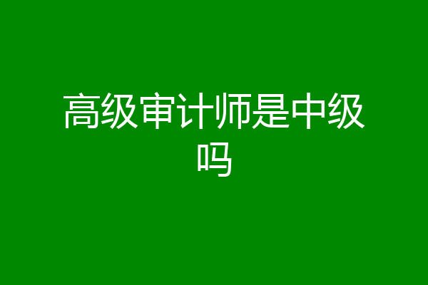 高级审计师是中级吗