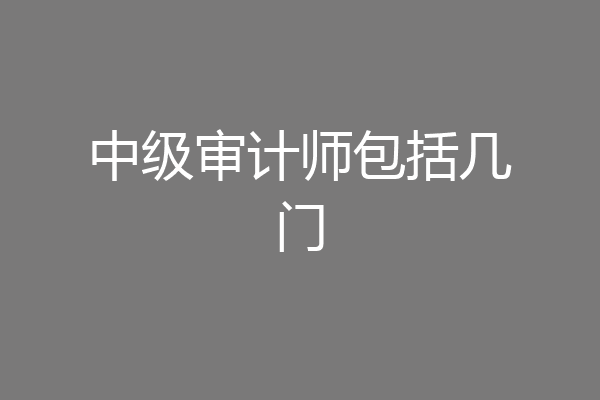中级审计师包括几门