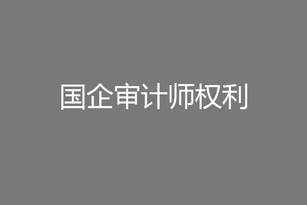 国企审计师权利