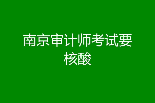 南京审计师考试要核酸