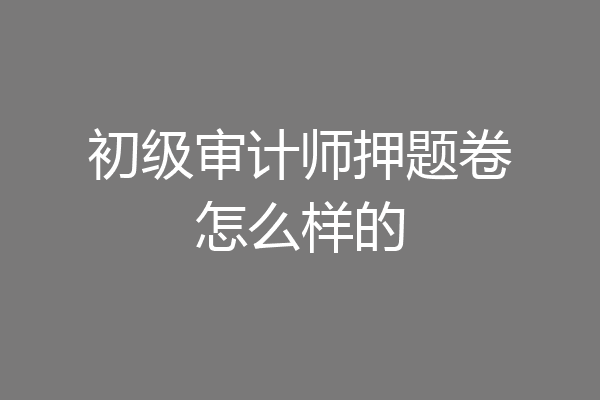 初级审计师押题卷怎么样的
