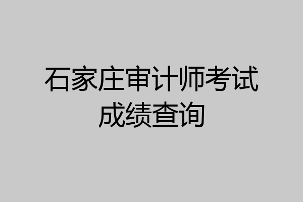 石家庄审计师考试成绩查询