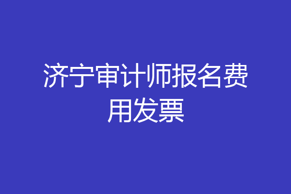 济宁审计师报名费用发票