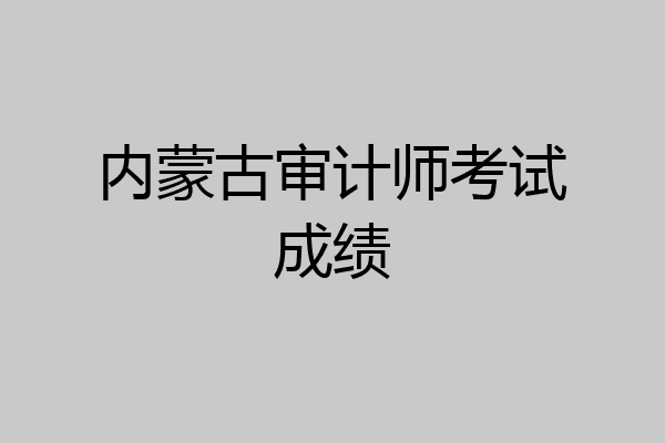 内蒙古审计师考试成绩