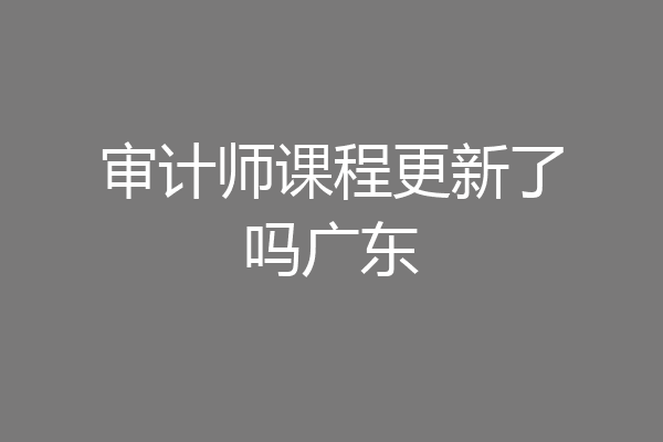 审计师课程更新了吗广东