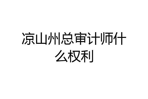 凉山州总审计师什么权利