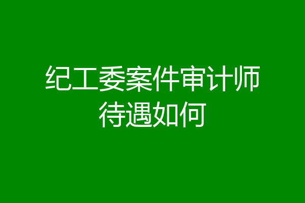 纪工委案件审计师待遇如何