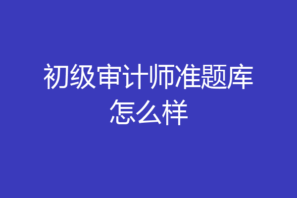 初级审计师准题库怎么样