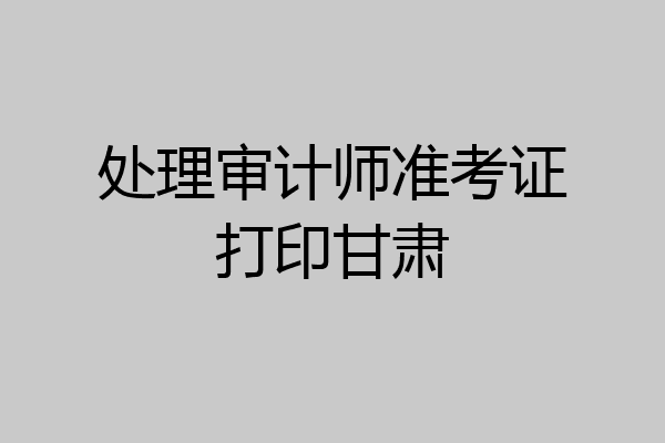 处理审计师准考证打印甘肃