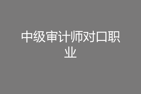 中级审计师对口职业