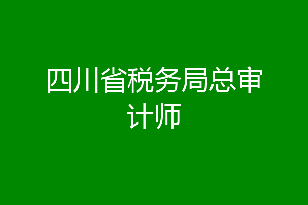 四川省税务局总审计师