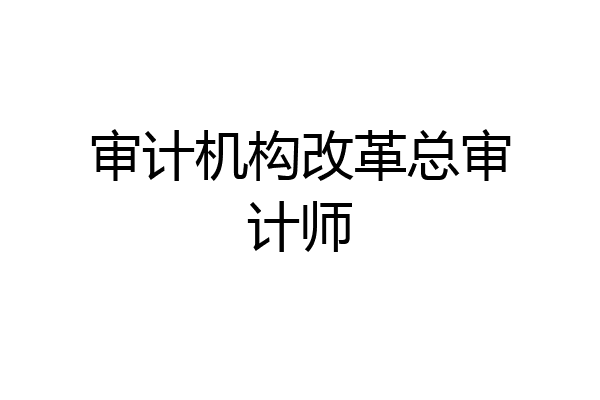 审计机构改革总审计师