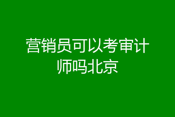 营销员可以考审计师吗北京