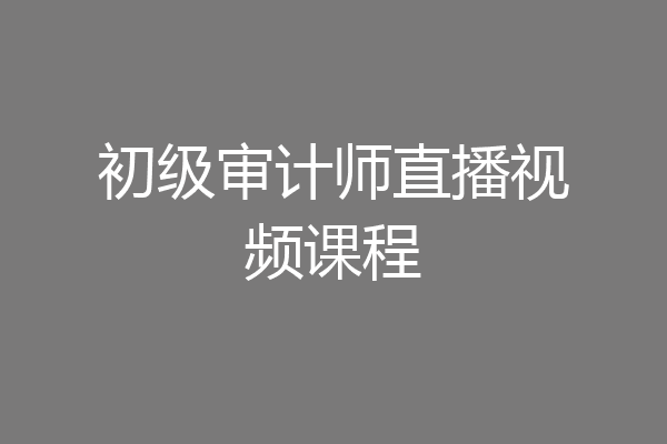 初级审计师直播视频课程