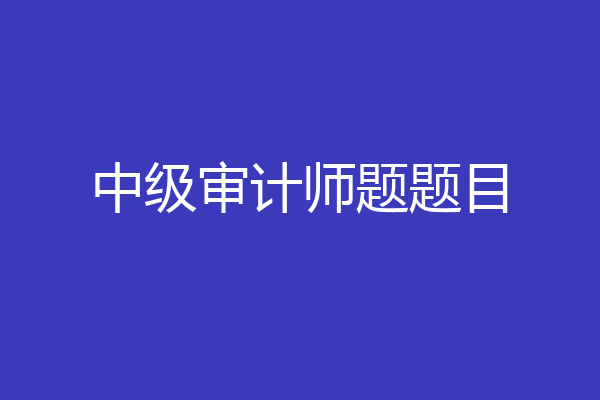 中级审计师题题目