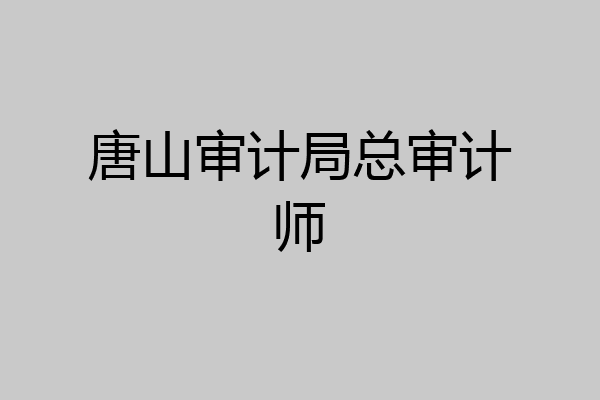 唐山审计局总审计师