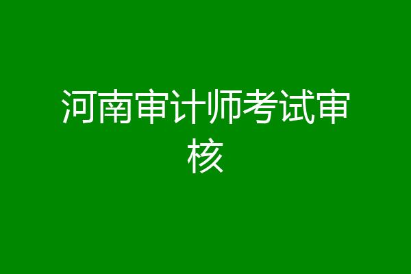 河南审计师考试审核