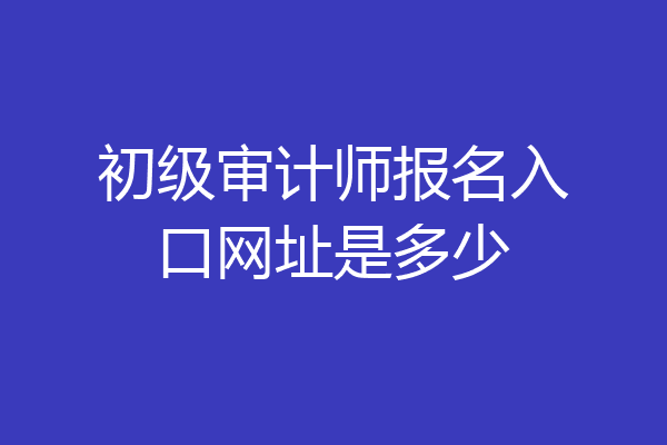 初级审计师报名入口网址是多少