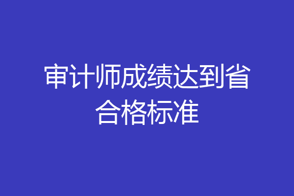 审计师成绩达到省合格标准