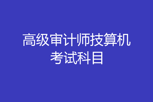 高级审计师技算机考试科目