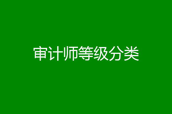 审计师等级分类
