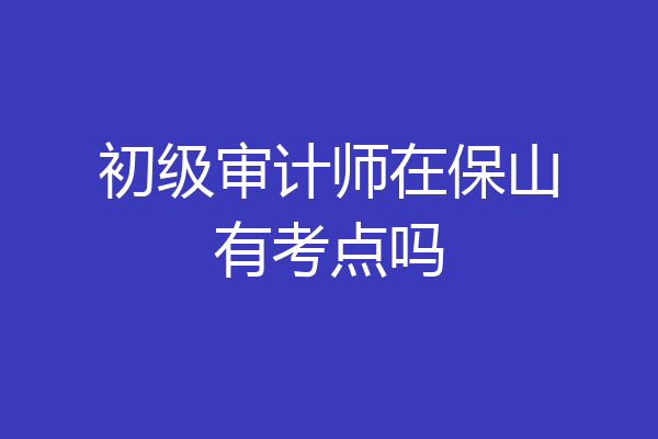 初级审计师在保山有考点吗