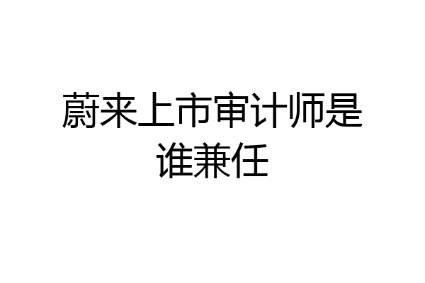 蔚来上市审计师是谁兼任