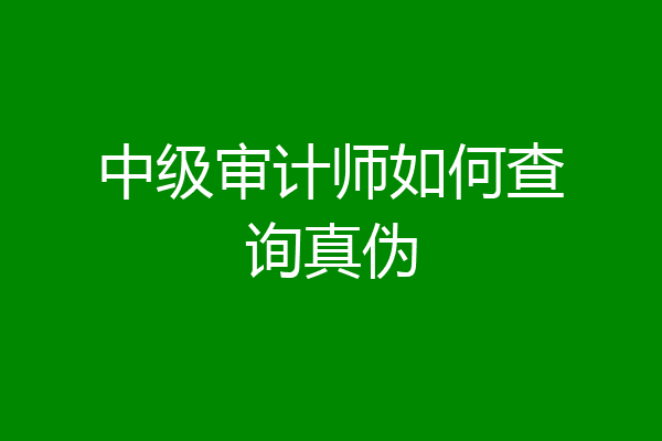 中级审计师如何查询真伪
