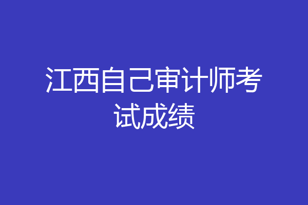 江西自己审计师考试成绩