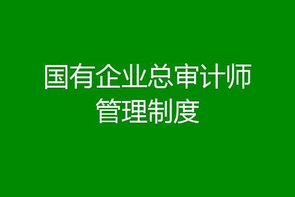 国有企业总审计师管理制度