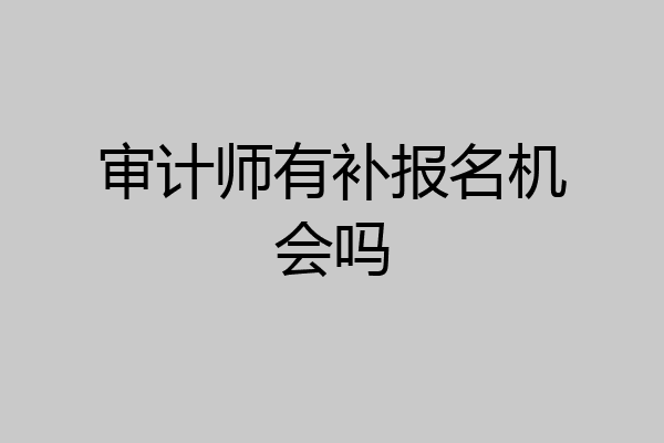 审计师有补报名机会吗