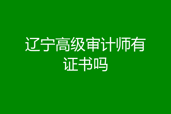 辽宁高级审计师有证书吗