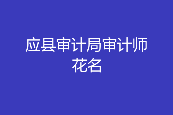 应县审计局审计师花名