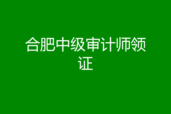 合肥中级审计师领证
