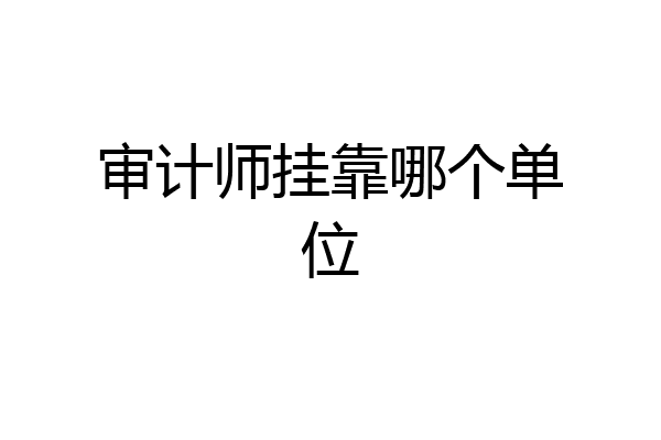 审计师挂靠哪个单位