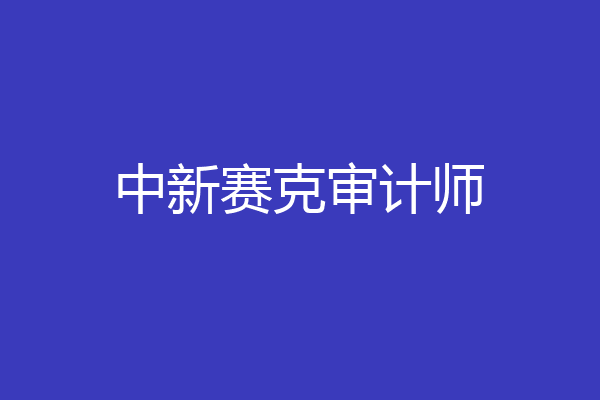 中新赛克审计师