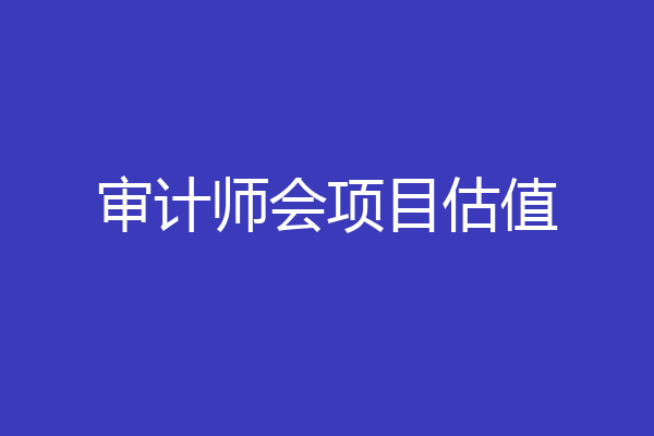 审计师会项目估值