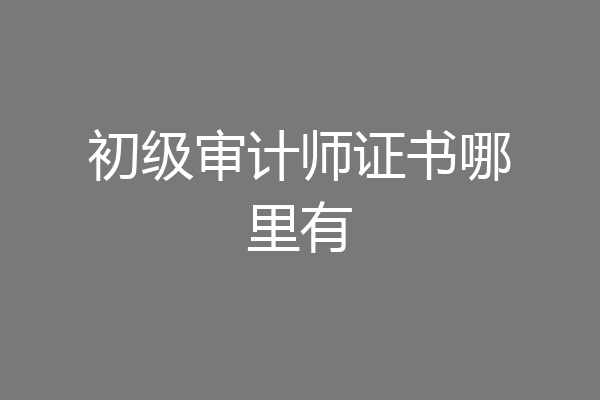 初级审计师证书哪里有