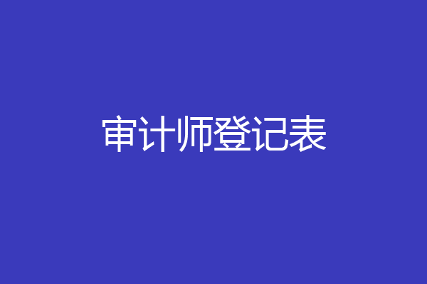 审计师登记表