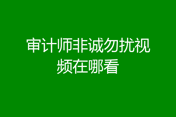 审计师非诚勿扰视频在哪看