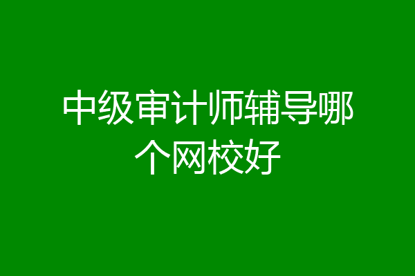中级审计师辅导哪个网校好