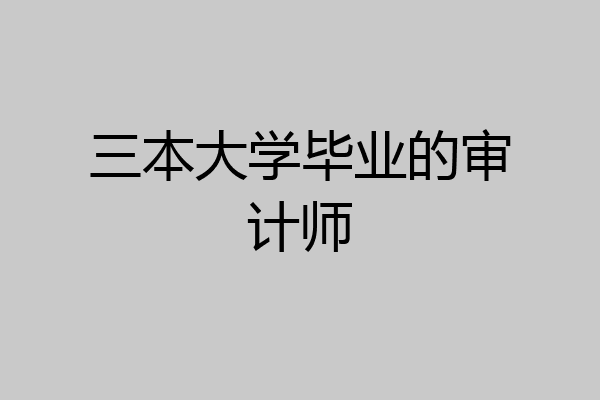 三本大学毕业的审计师